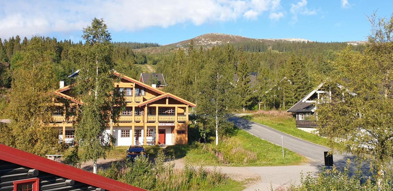 Solbjornlia *
