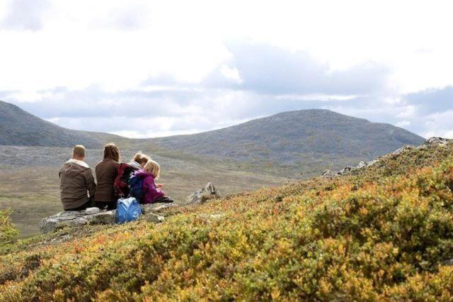 Solbjornlia Holiday home Trysil