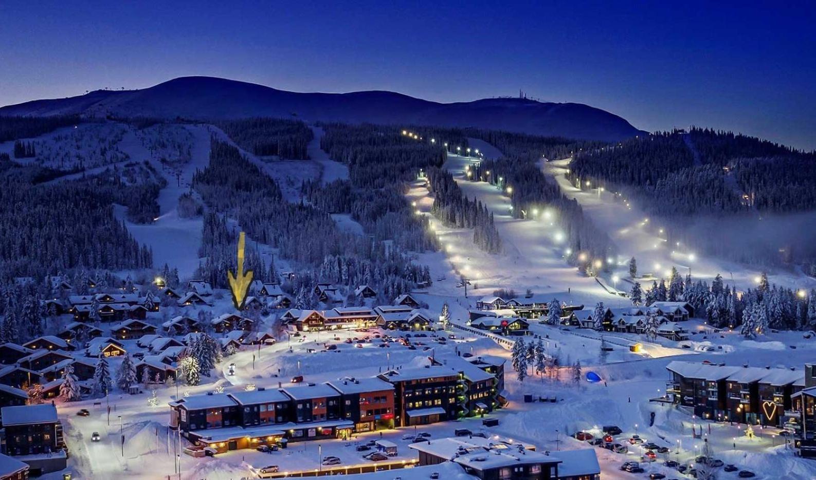 Solbjornlia * Trysil