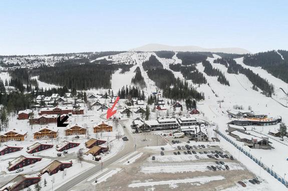 Solbjornlia Trysil