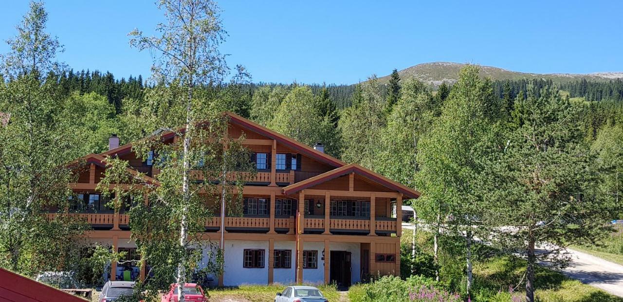 Solbjornlia