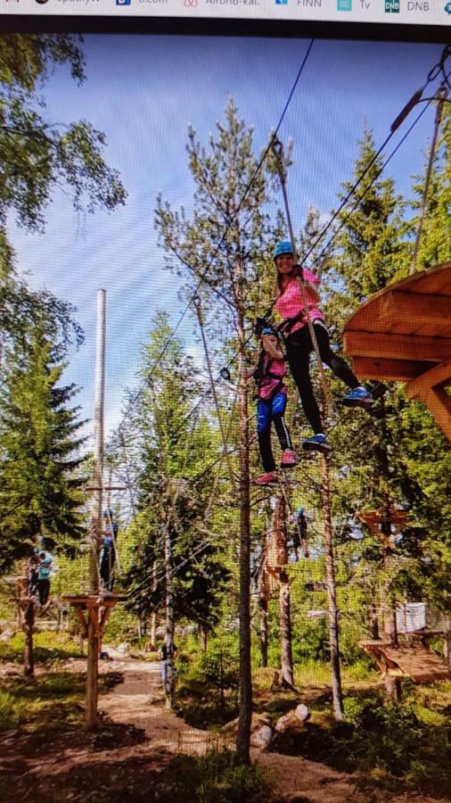 Solbjornlia * Trysil