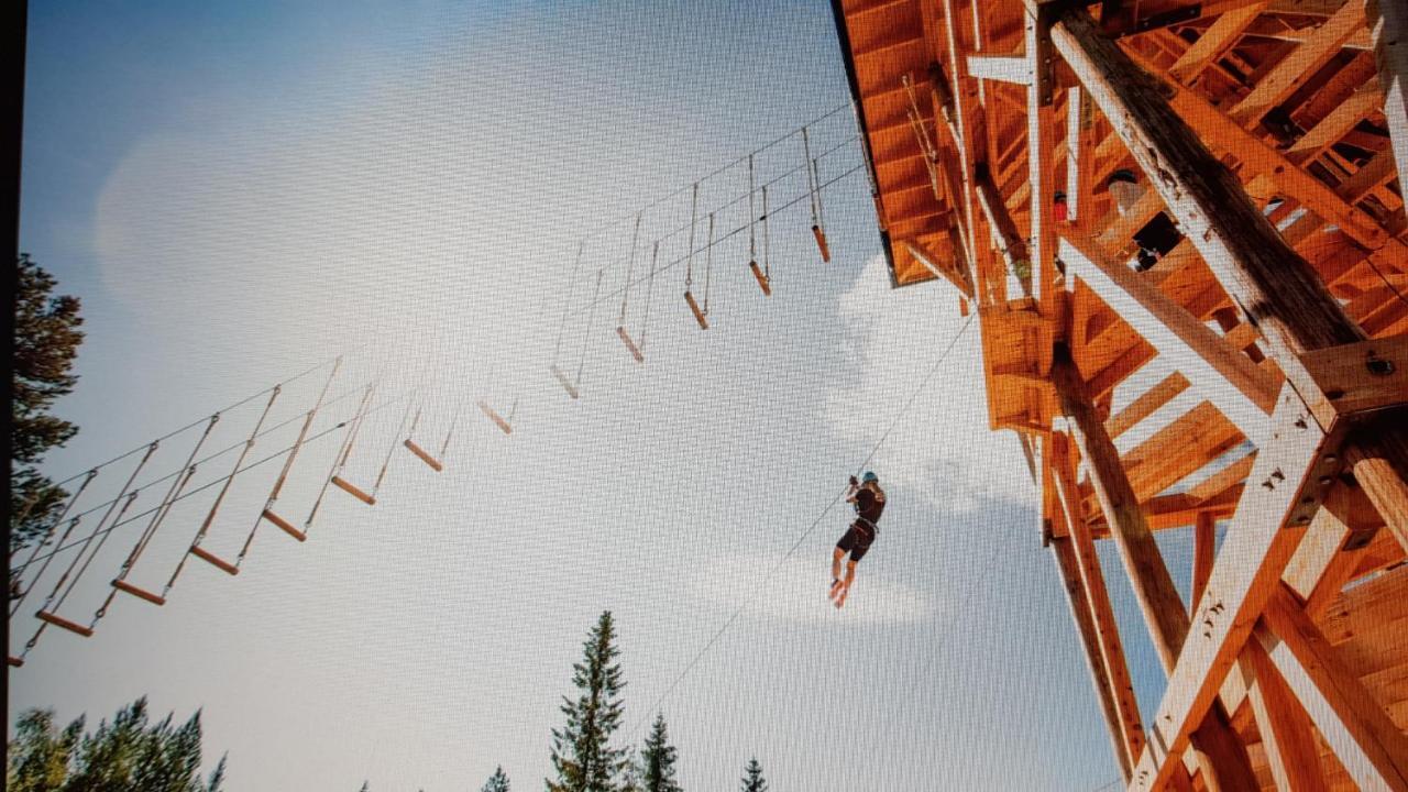 Solbjornlia Trysil